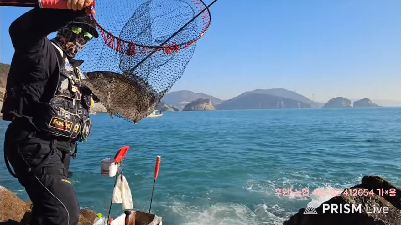 당두호. 개도 감성돔 5 짜 도전! 2차전! #당두호 #개도 #감성돔 #전용동 #낚시 #fish #fishing #fishingvideo