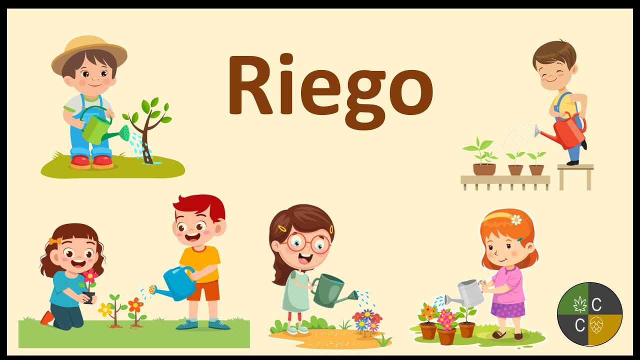 Cultivando cannabis: El riego, de menos a m&aacute;s
