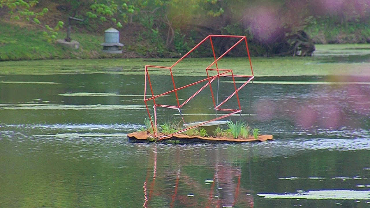 Floating islands added to Lake LaVerne to improve water quality