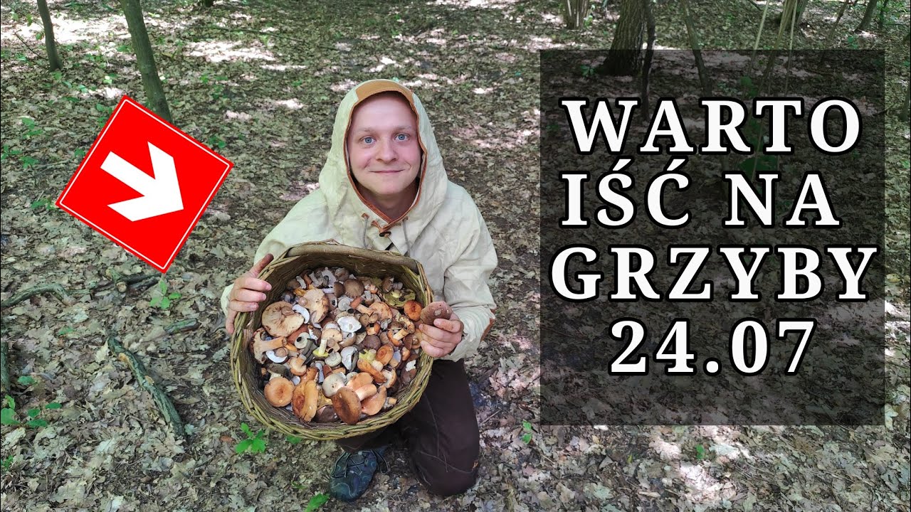 TOP 11 - GRZYBY w WAKACJE, które warto znać