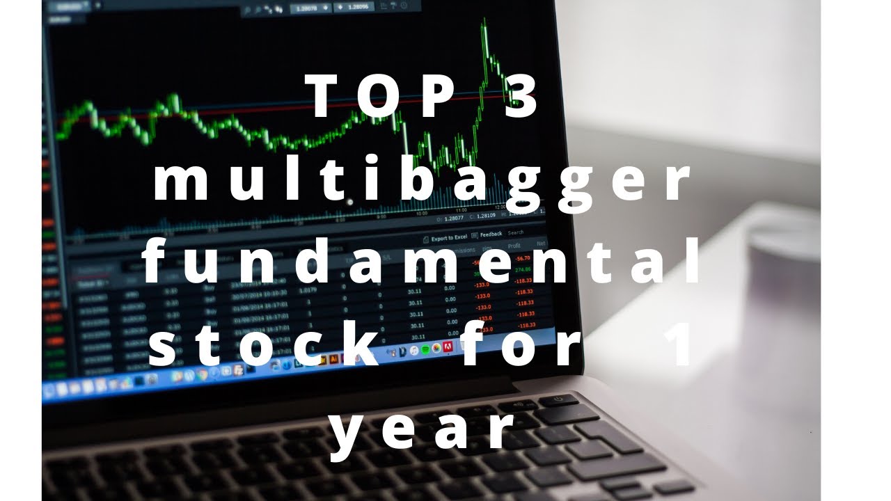 Top 3 Multibagger Fundamental Stock for next 1 Year - #equity99 #multibaggerstock #Top3stock