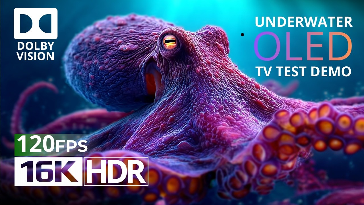 Underwater World in 16K | OLED HDR Dolby Vision™ 120fps Demo