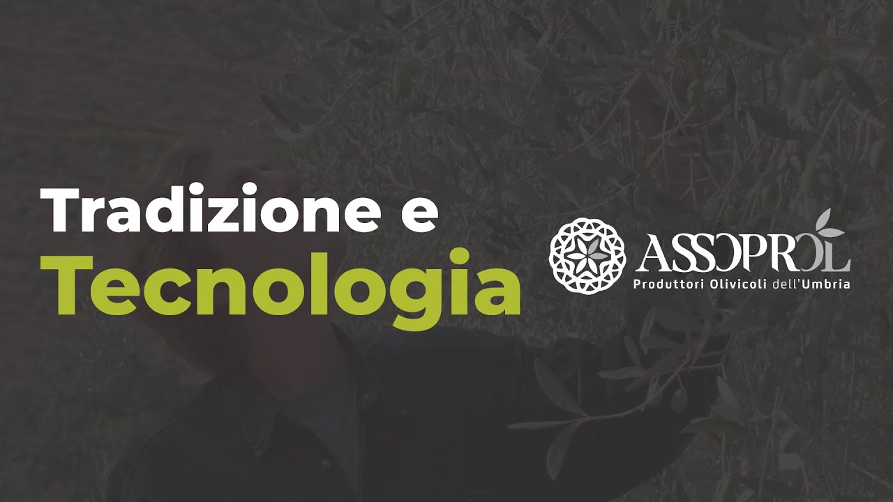 Gli Olivicoltori Assoprol | Tradizione e Tecnologia