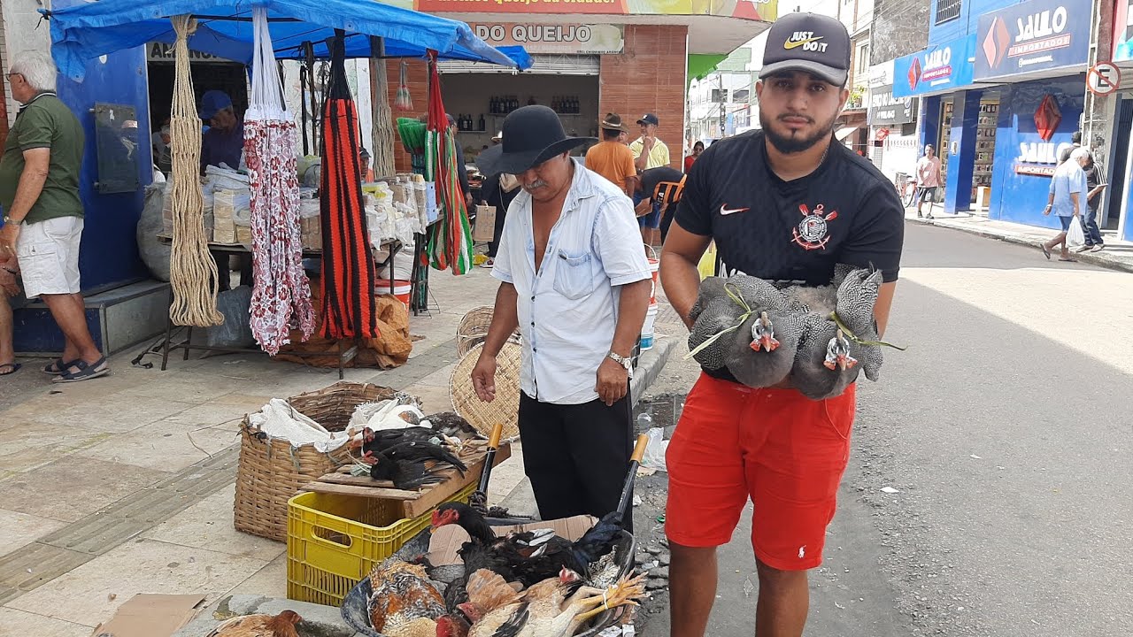 FEIRA DAS GALINHAS EM SÃO BENEDITO CEARÁ 21/02/26