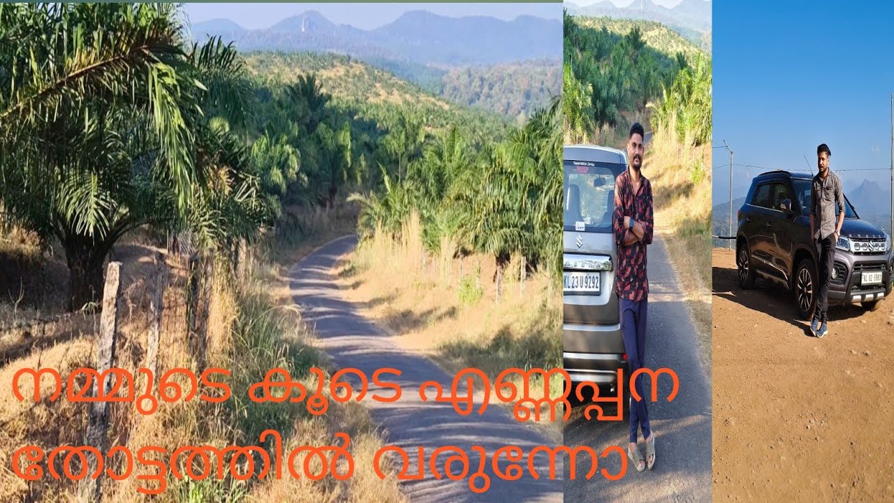 കടക്കൽ എന്ന സുന്ദരി 🥰#kadakkal #oilplant #travelfood #travel 