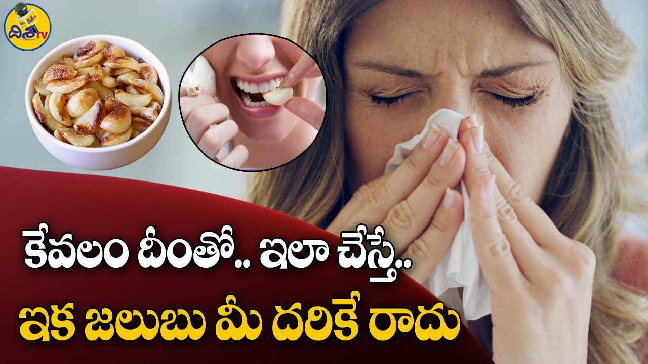 Health Benefits of Garlic | Garlic Benefits | Garlic Benefits in Telugu | Disha TV