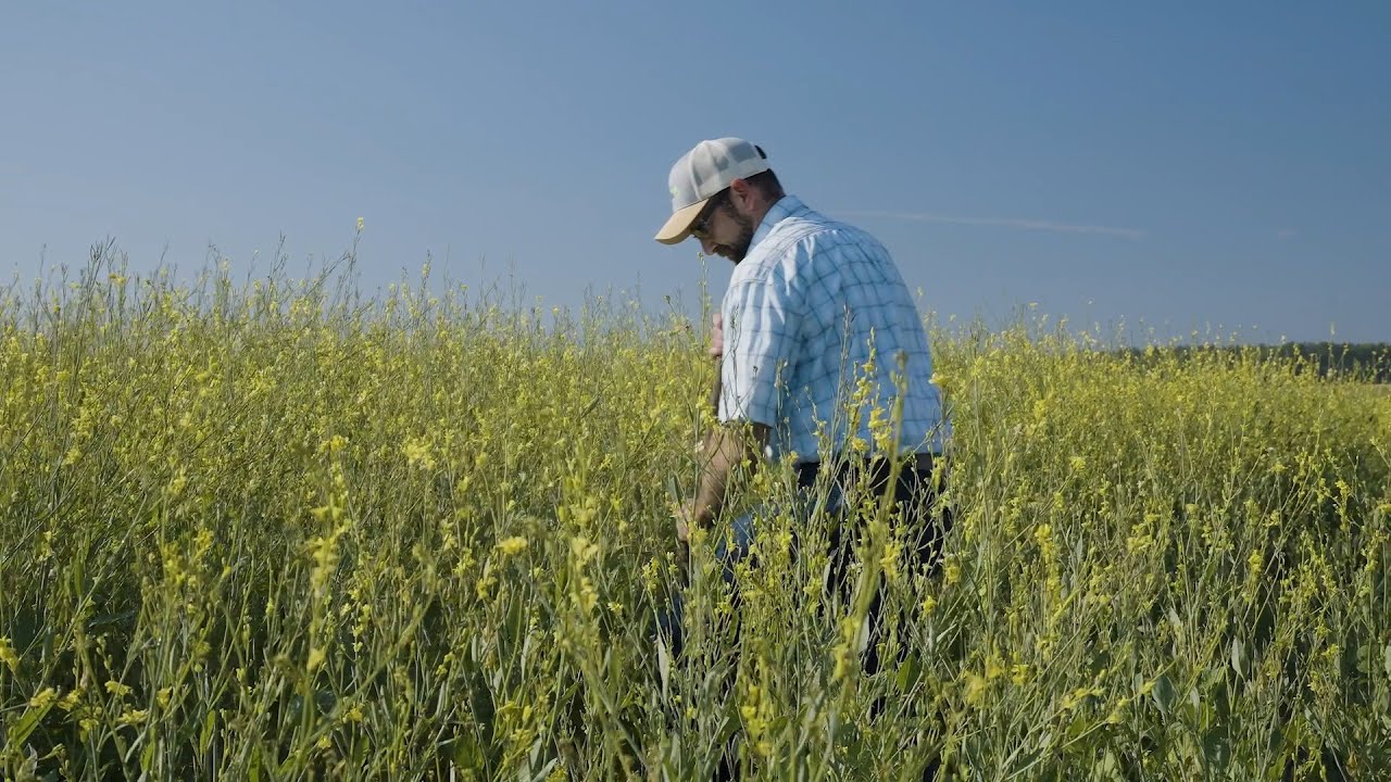 HOW we grow bioenergy feedstock matters. (USA & Canada)