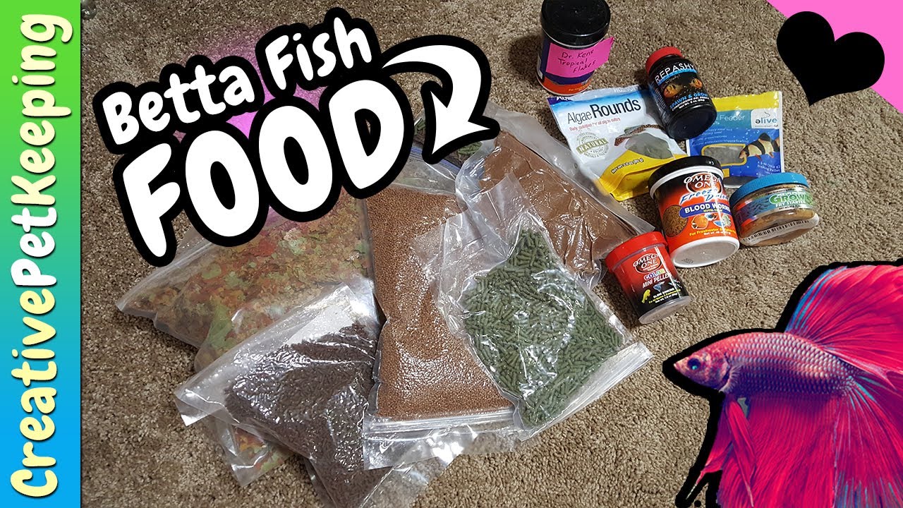 Betta Fish Food for Adults and Fry | Pellets, Flakes, Frozen, Freeze Dried, Live Cultures