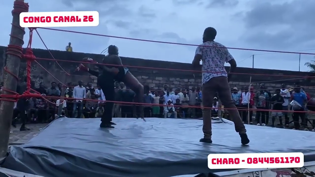 Animal de kin vs double de mbujimayi #catchmweneditu #kinshasa#congo #catch #information #mbujimayi