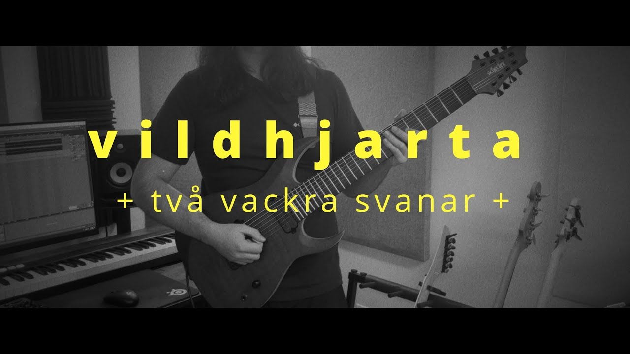 Vildhjarta - + två vackra svanar + (One Take Guitar Cover)