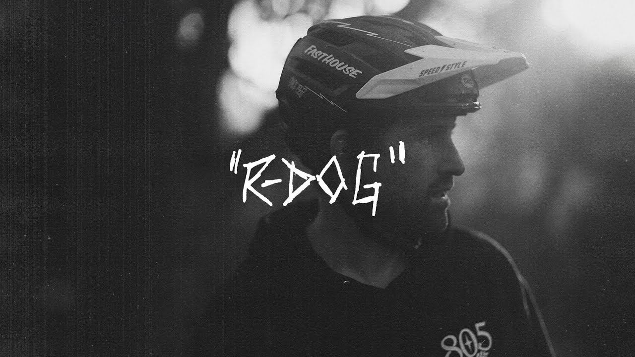 Steeze in the Trees | R-Dog on the Loose