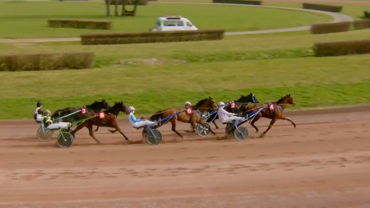 Avenches / 05.03.2026 / PRIX IROSIE DE LA NOÉ - Série 2