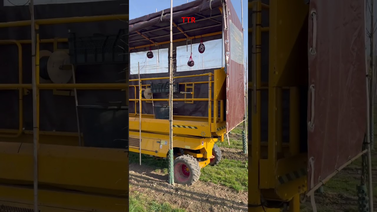 Was macht dieses Werkzeug neben diesen frisch gepflanzten Bäumen? #deutschland #manlift #subscribe