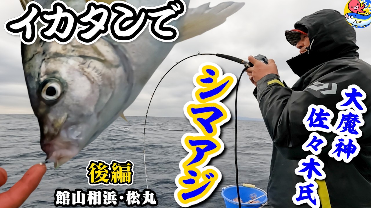 大魔神【高級魚シマアジ釣り後編】エサにイカタンが良い訳【館山相浜・松丸】