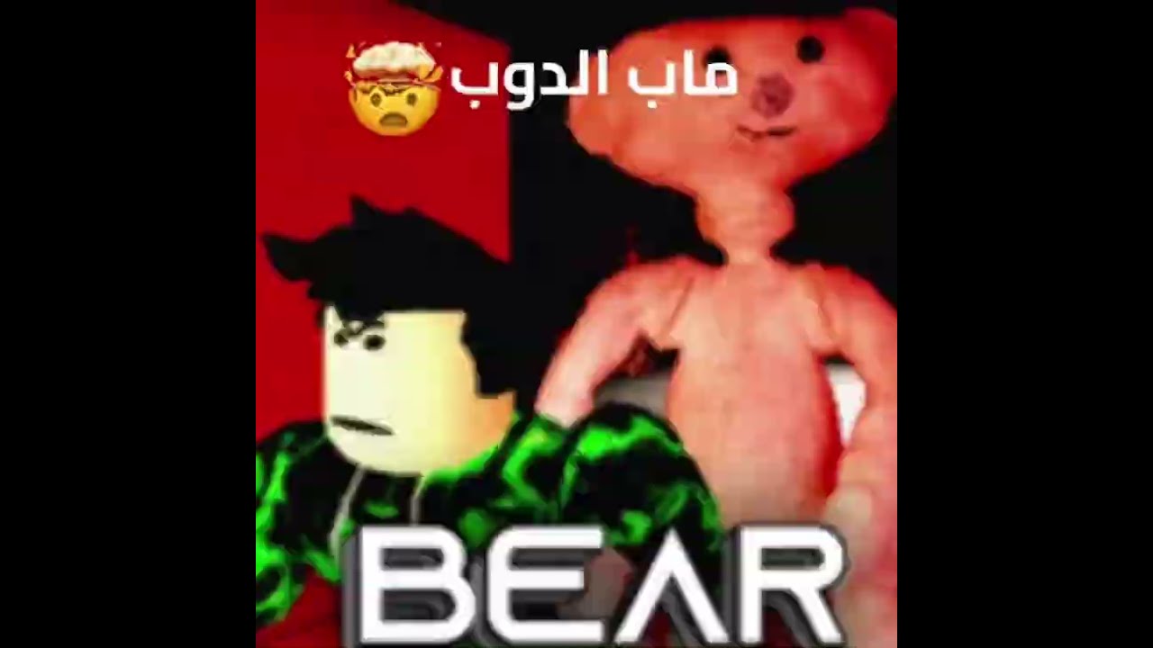 ٥ فبراير، ٢٠٢٦