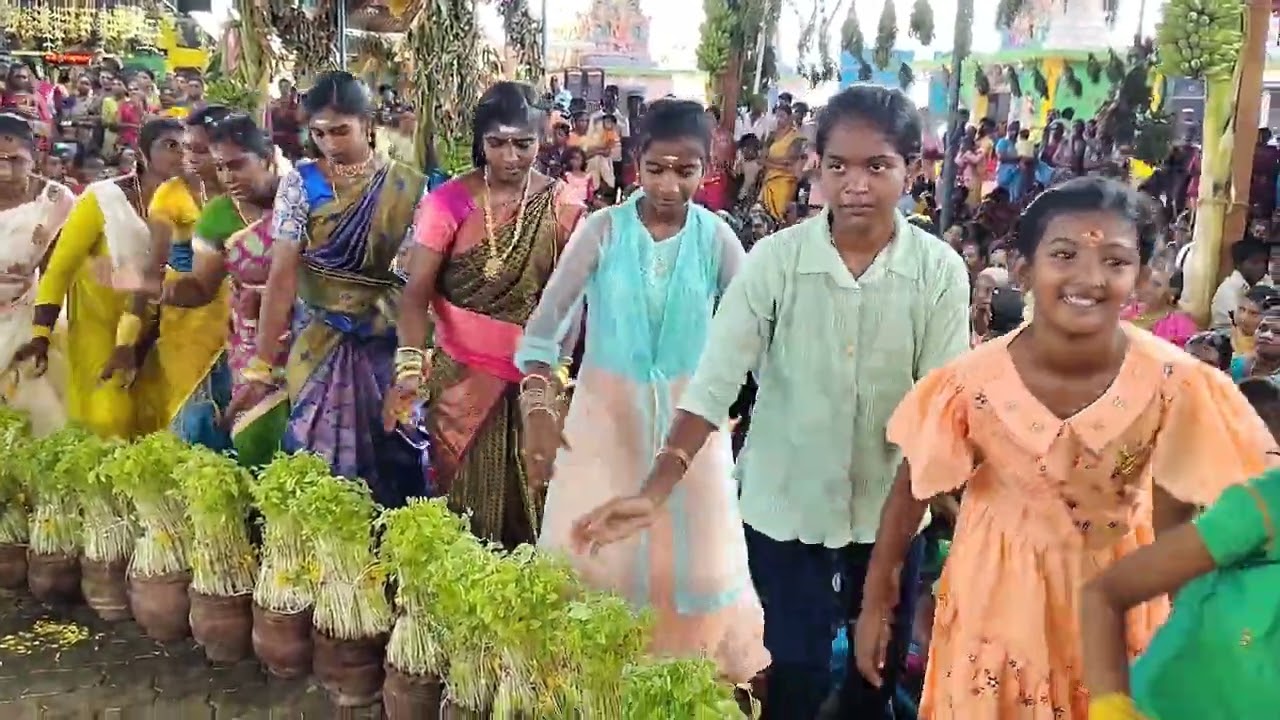 ஆலங்குளம் ஸ்ரீ பத்திரகாளி அம்மன் கோவில் கொடை நிறைவு விழா முளைப்பாரி கும்மியால் களை கட்டியது