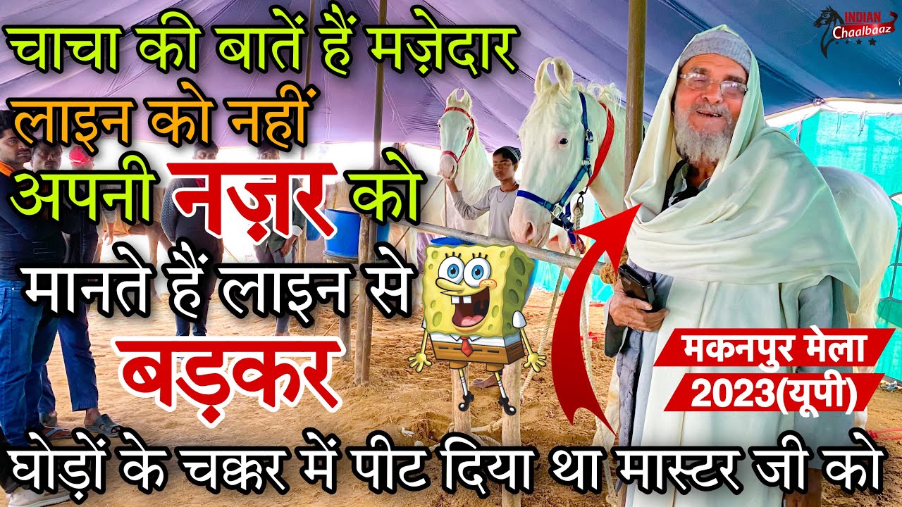 चाचा लाइन को नहीं अपनी नज़र को मानते हैं लाइन से बड़कर_पुराने घोड़ेबाज 8881460667 Makanpur Mela 2023