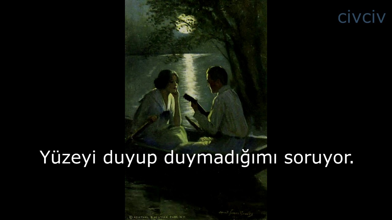 Roland Faunte - Levers / Türkçe Çeviri
