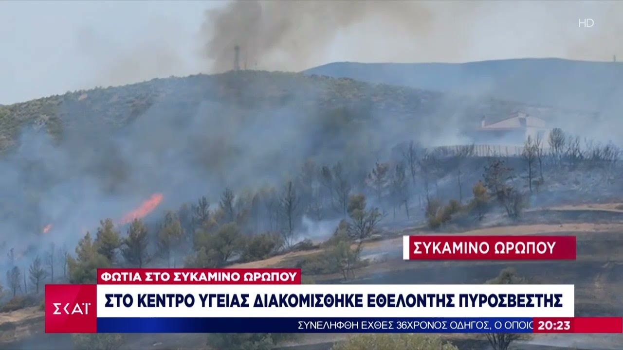 Συναγερμός στην Πυροσβεστική μετά από πυρκαγιά στο Συκάμινο Ωρωπού – 33 φωτιές το τελευταίο 24ωρο