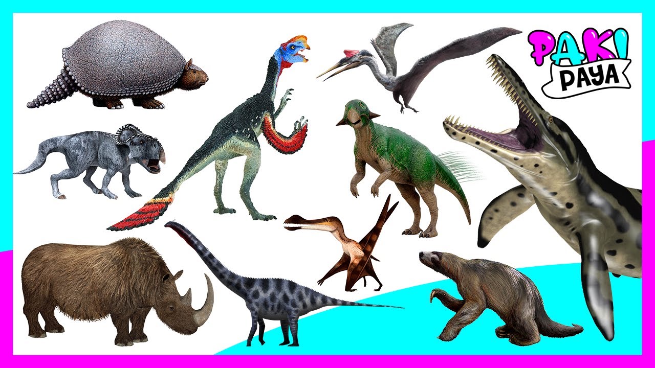 &iexcl;ANIMALES PREHIST&Oacute;RICOS! PARTE 2  Prehistoric Sea Animals - dinosaurs - dinosaurios - jurassic world