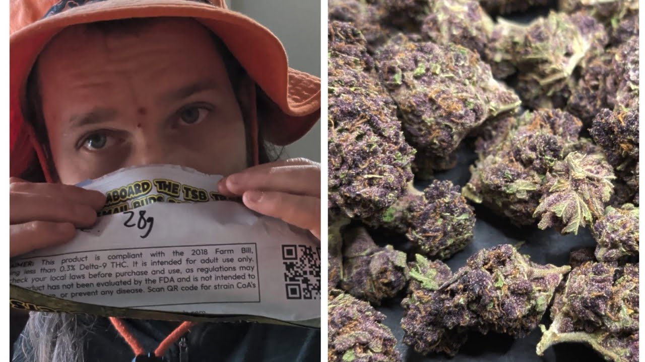 Tropicana cherry - thca small buds Greenhouse hemp flower review  Great nose