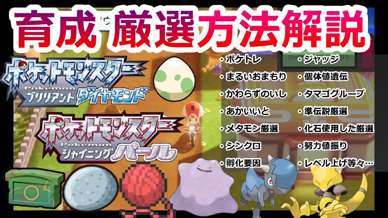 【BDSP】ポケモン育成、厳選方法をわかりやすく解説！【ダイパリメイク】