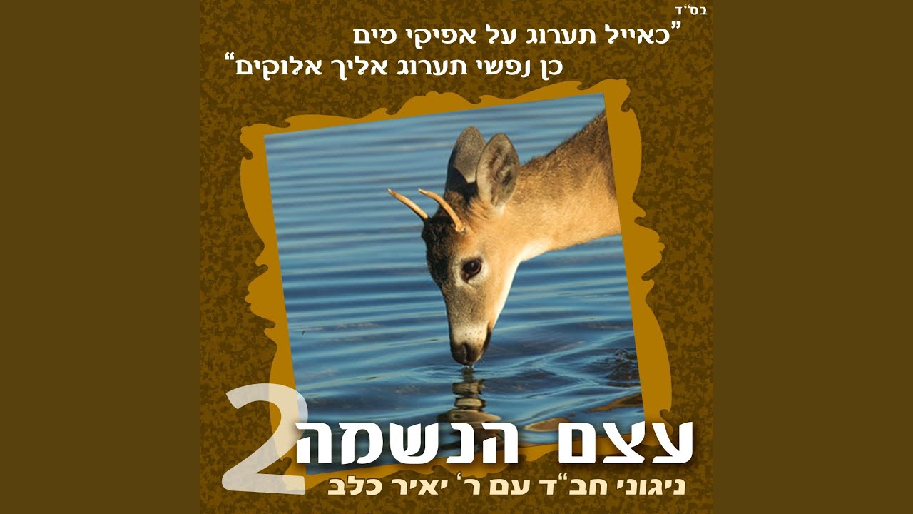 The Beinoni