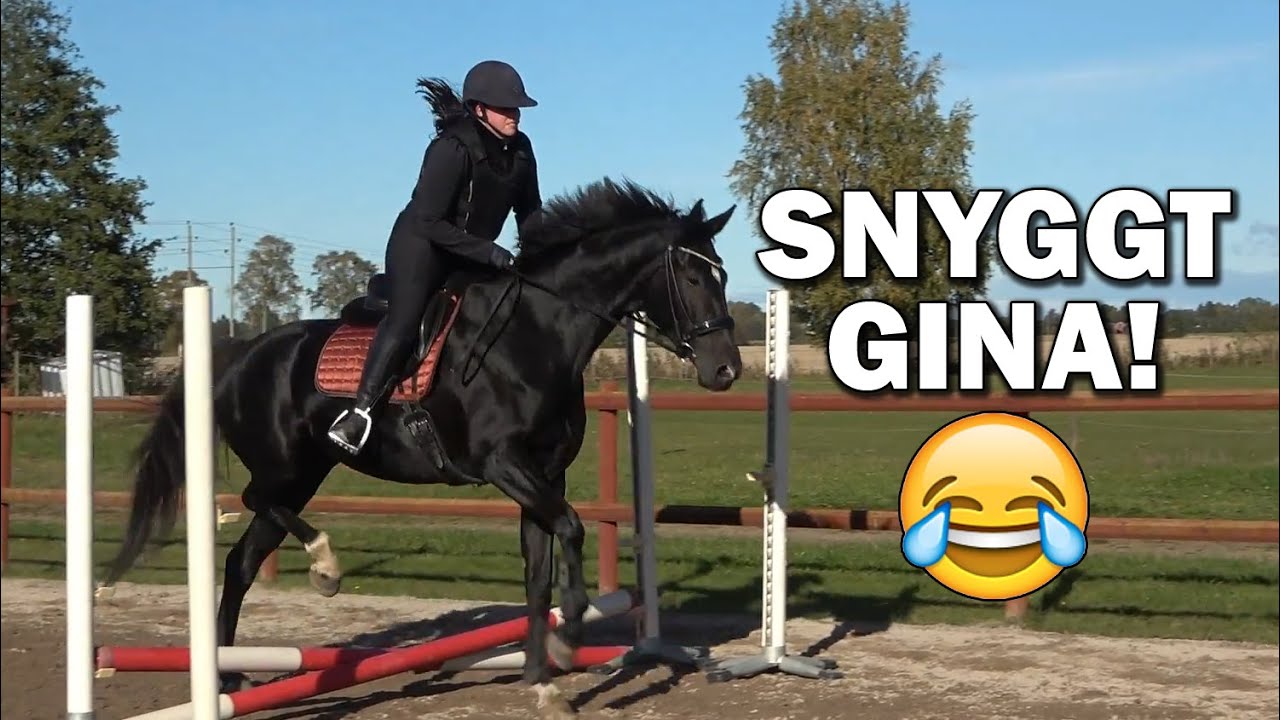 HOPPAR ALLA HÄSTARNA - Stallvlogg