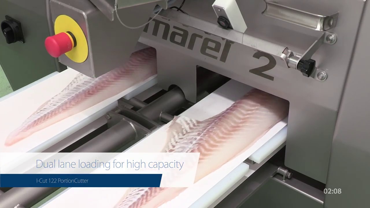 I-Cut 122 PortionCutter Whitefish – Taking portioning to the next level