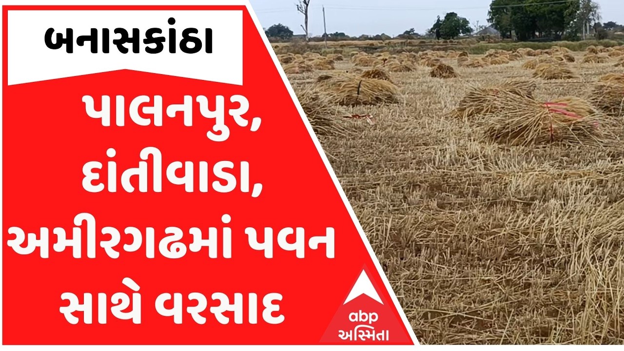 Banaskantha | બનાસકાંઠામાં કમોસમી વરસાદ, માવઠાના કારણે તૈયાર પાકને નુકસાનની આશંકા