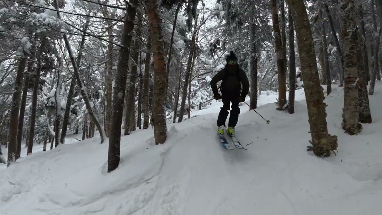 Monday Powder in Vermont! Storm Riding the Trees