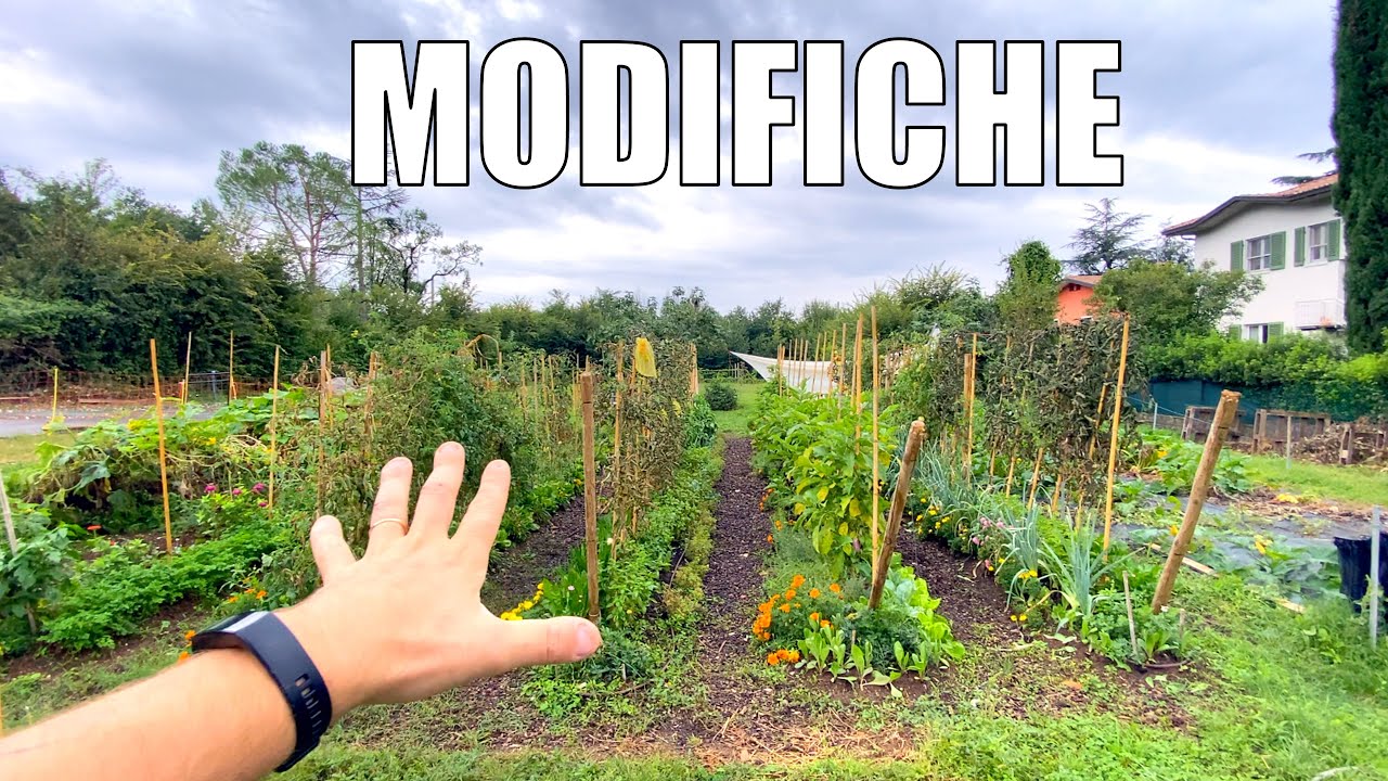 Da orto ESTIVO ad orto AUTUNNALE