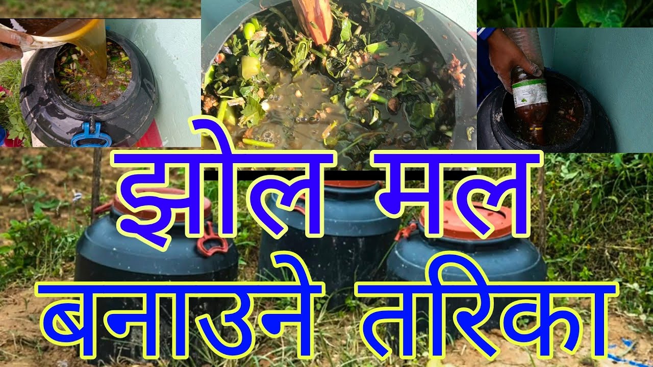 Jhol Mal | झोल मल बनाउने तरिका | Bio - Fertilizer/ Pesticide | जैविक विषादी | झोल विषादी