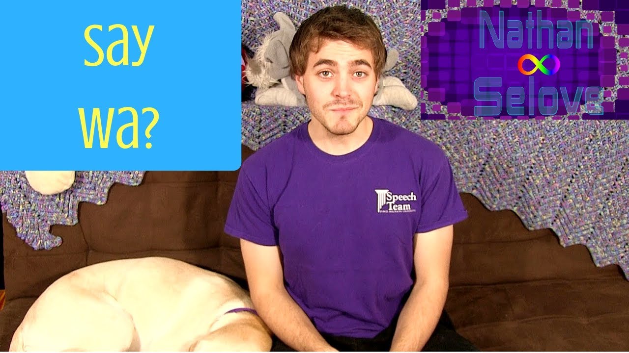 Service Dog Tales: 