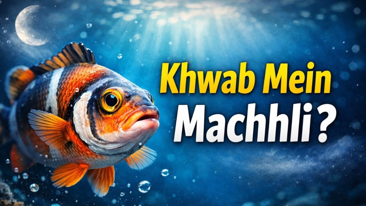 Machhli Ki Zindagi Aur Khwab Ki Taabeer | Fish Documentary | Rizq Ya Warning?