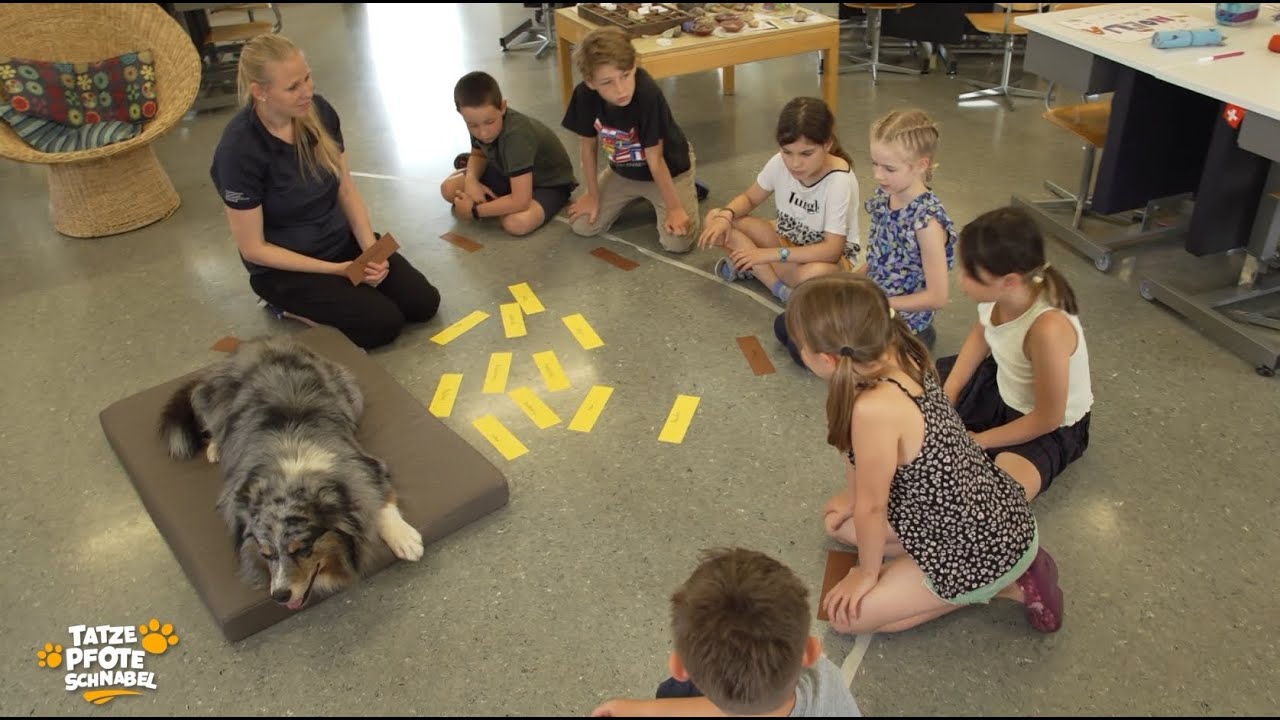 Reportage von Telebasel: Sozialhunde-Einsatz Schule