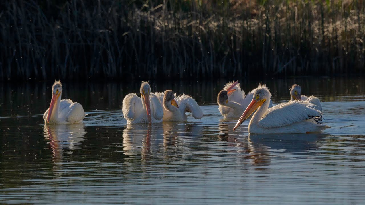 Summer Lake, Oregon, 2020