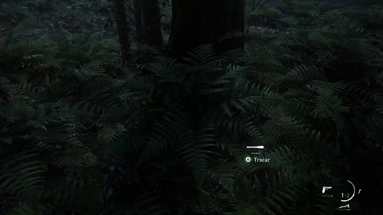 The Last of Us part II