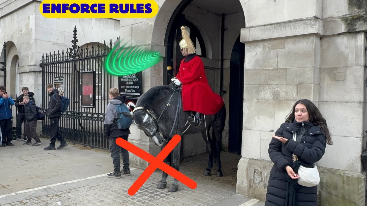 ✊Hero Guard Shows Mute Guard How to Enforce Rules