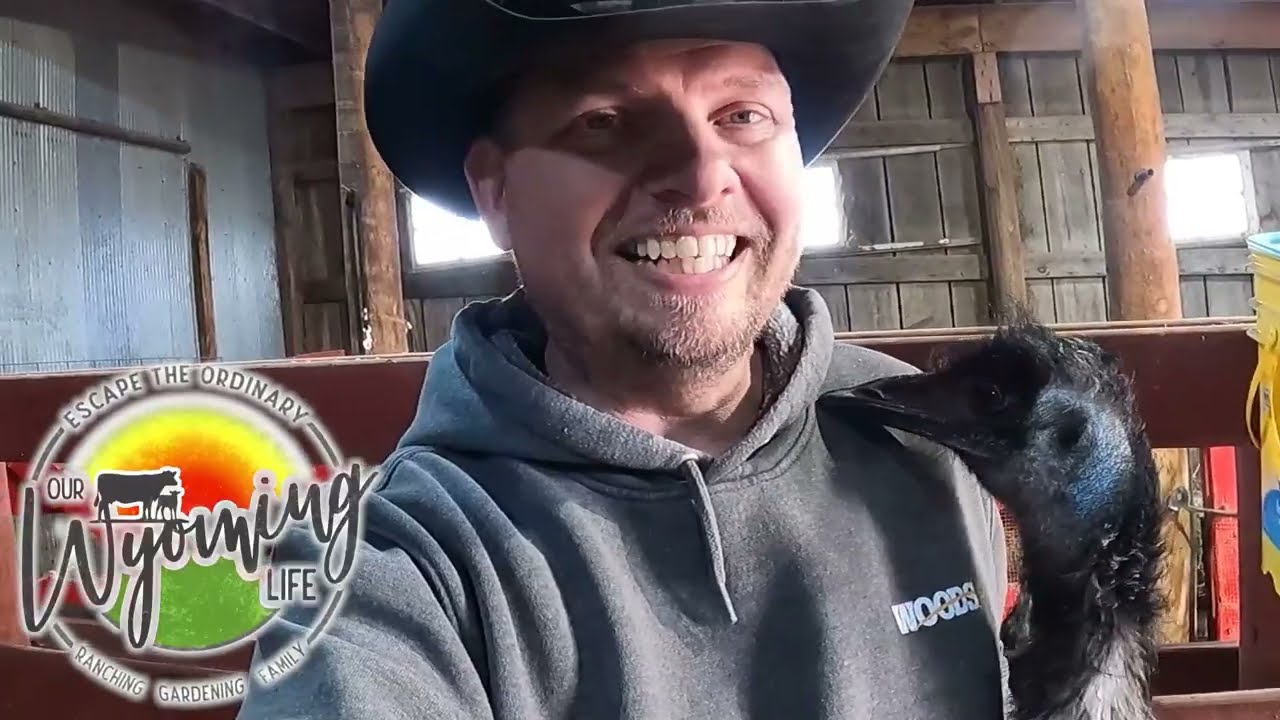 Barn Bliss: Deep Cleaning the Barn!