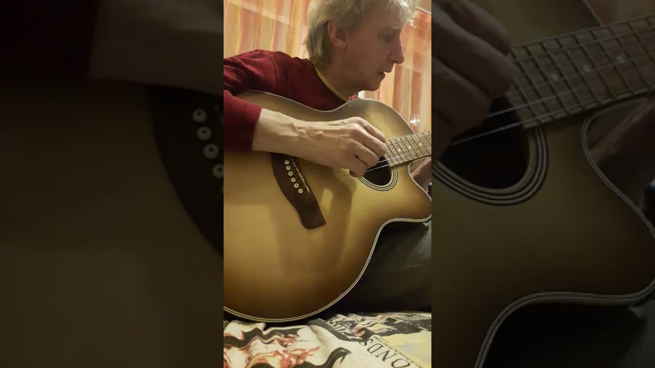 акустическая гитара renome