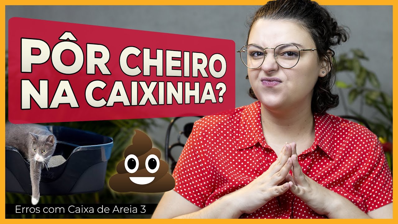 Tipos de Granulado e Cheiro | Erros com Caixa de Areia 3