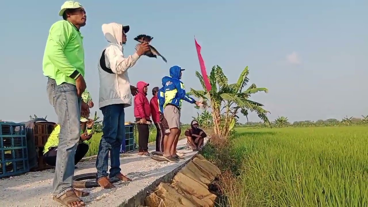 Lomba hari jumat lp. Sinan 500 M. Juara bersama team rea reo