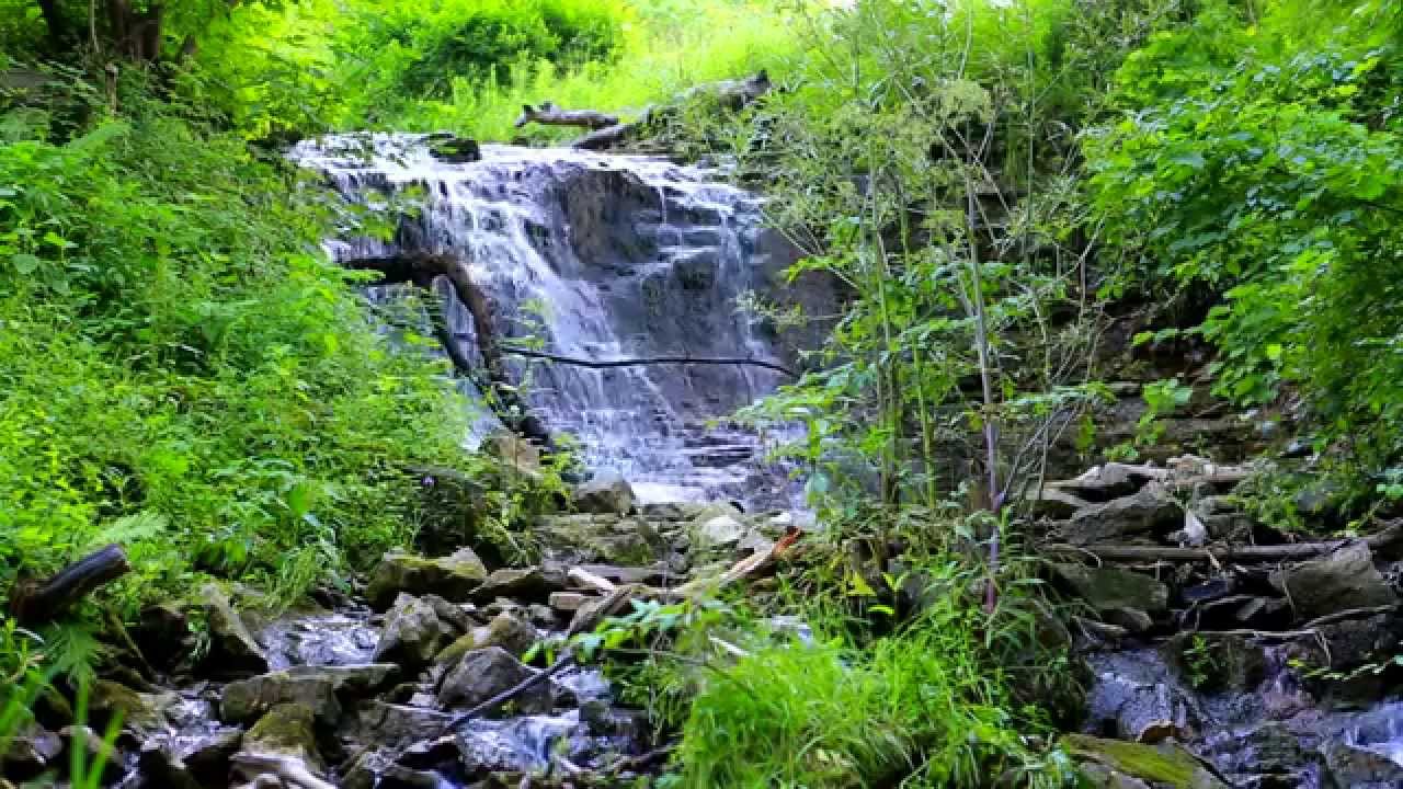 Hermitage Cascade, Hamilton