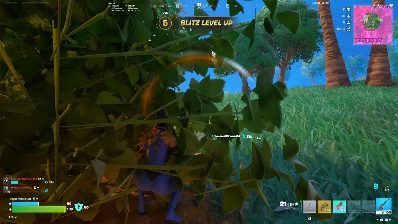 BR WIN