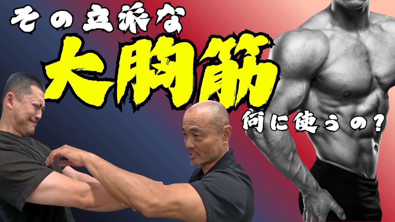 横隔膜と肋間を連動させる！パフォーマンスを劇的に向上させる体の使い方