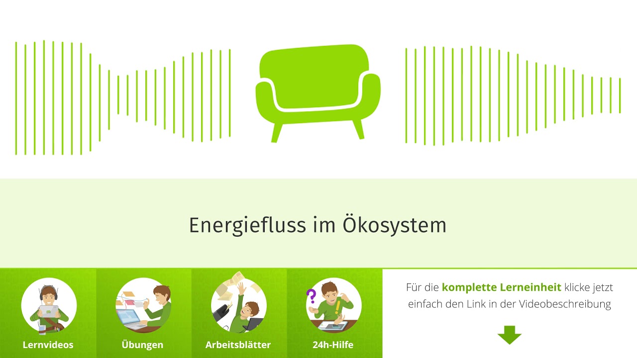 Energiefluss im &Ouml;kosystem einfach erkl&auml;rt | sofatutor