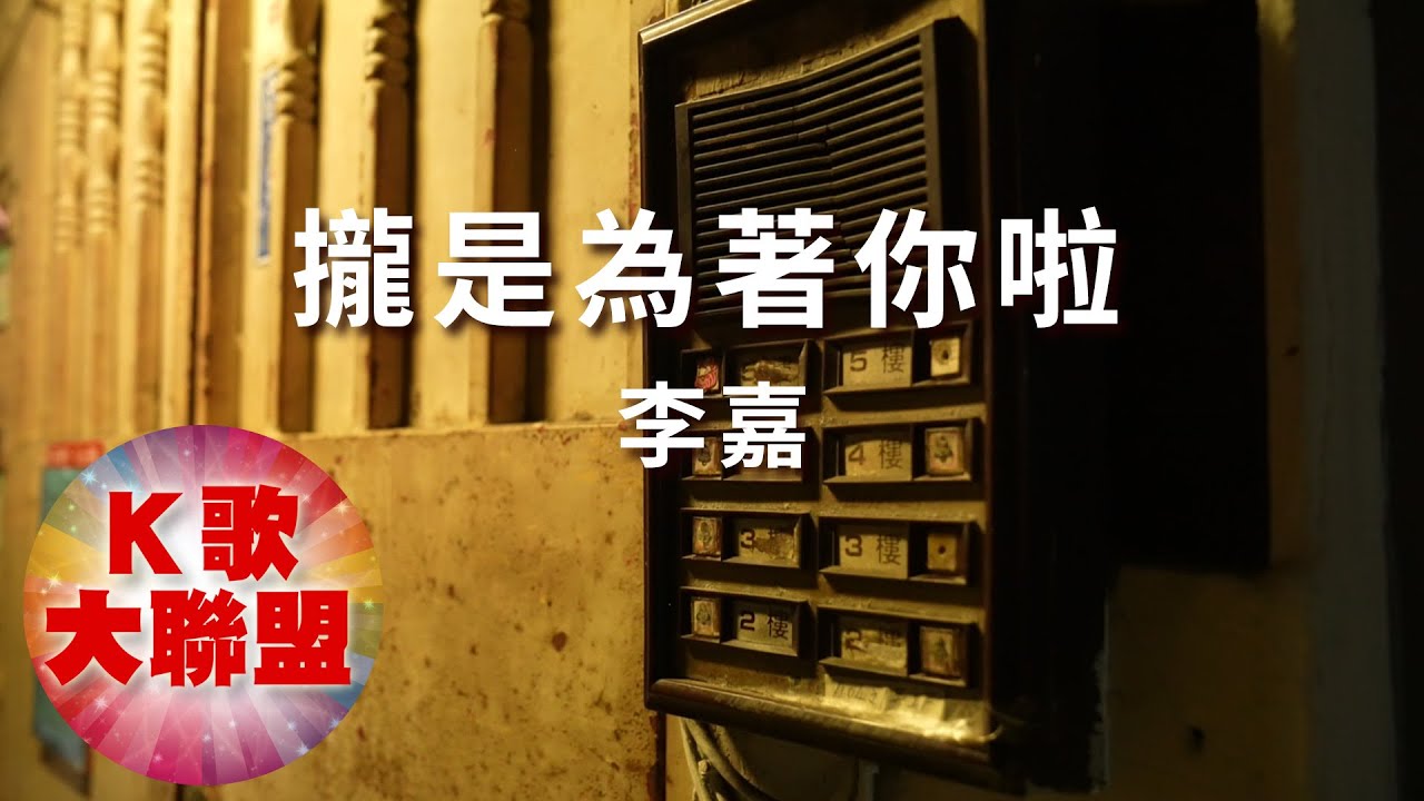 李嘉-攏是為著你啦【KTV導唱字幕】