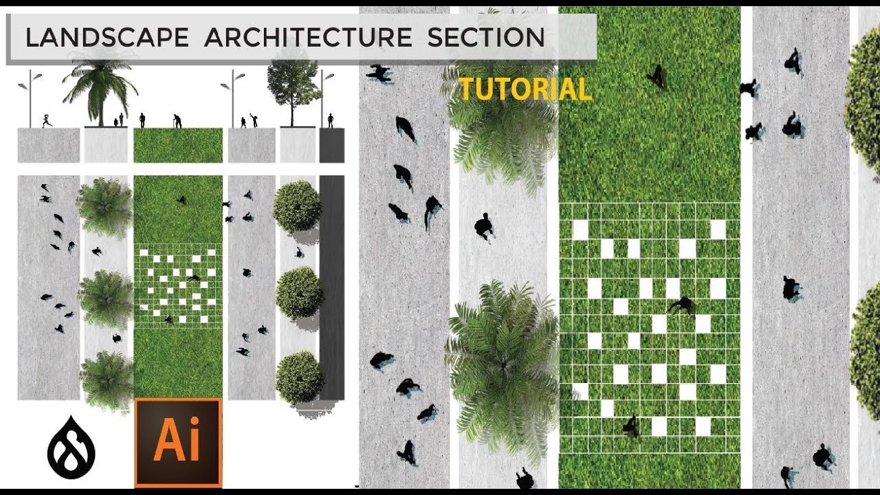 LANDSCAPE ARCHITECTURE SECTION - ILLUSTRATOR TUTORIAL