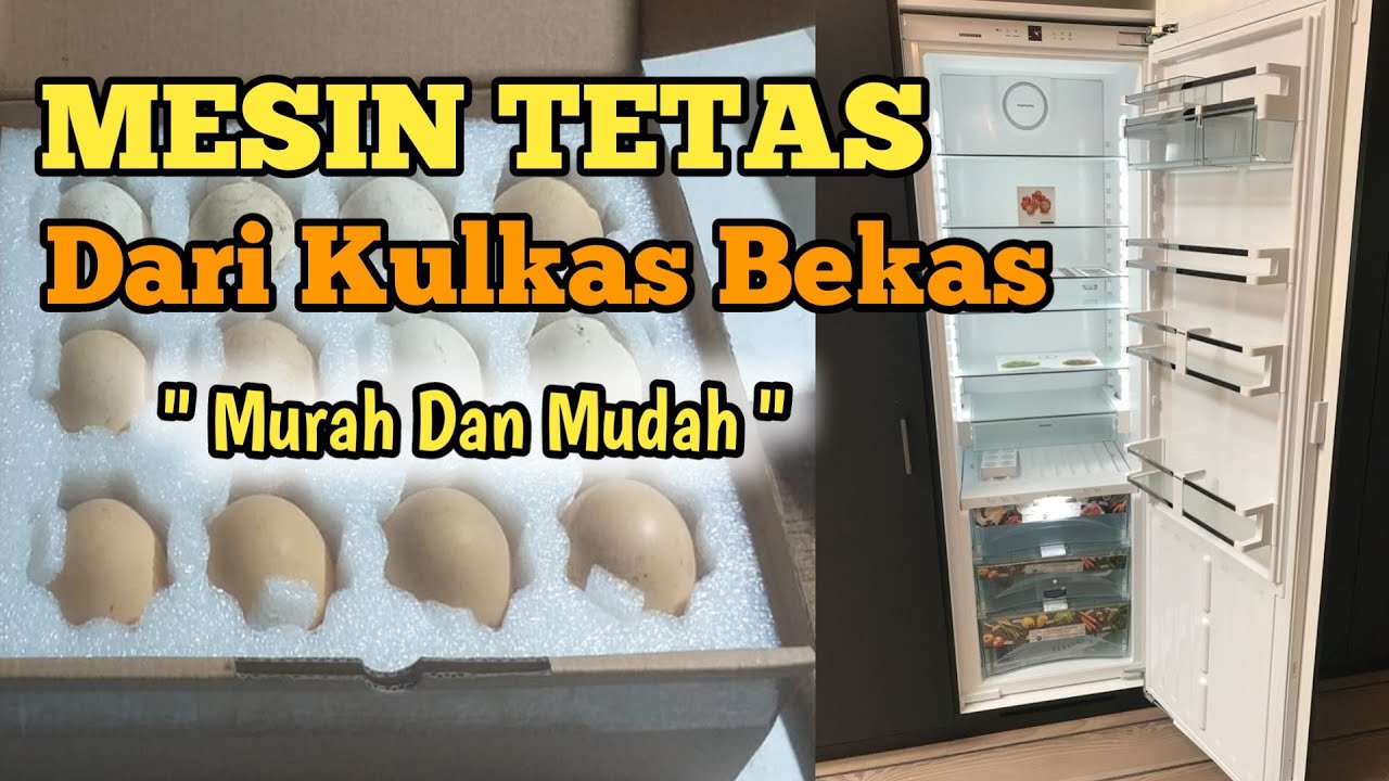 PETERNAK KREATIF ‼️ Membuat Mesin Tetas Sederhana Dari Kulkas Bekas 📌